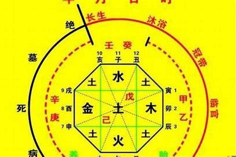 八字喜用神|八字入门基础 第六篇 如何判断八字喜用神